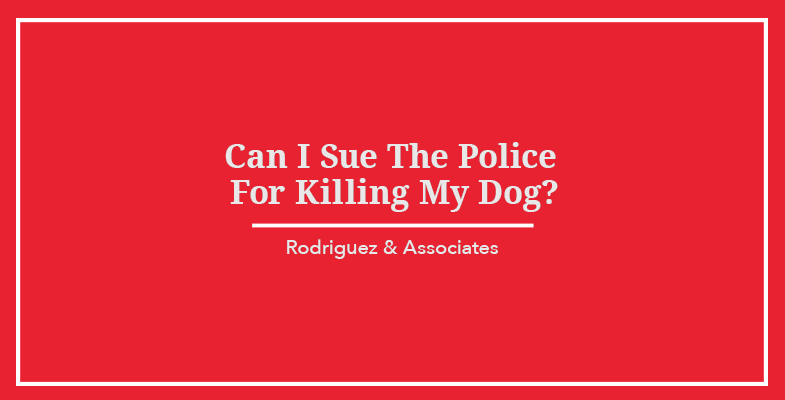 Can I Sue The Police For Killing My Dog?