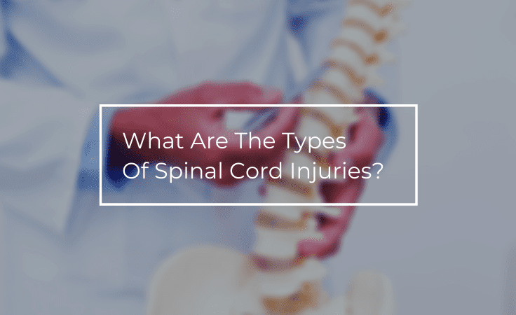 What Are The Types Of Spinal Cord Injuries