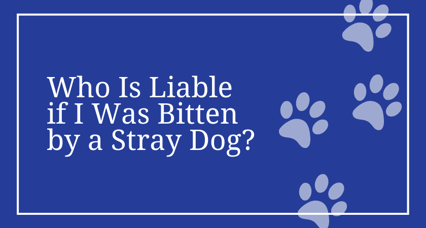 Who Is Liable if I Was Bitten by a Stray Dog