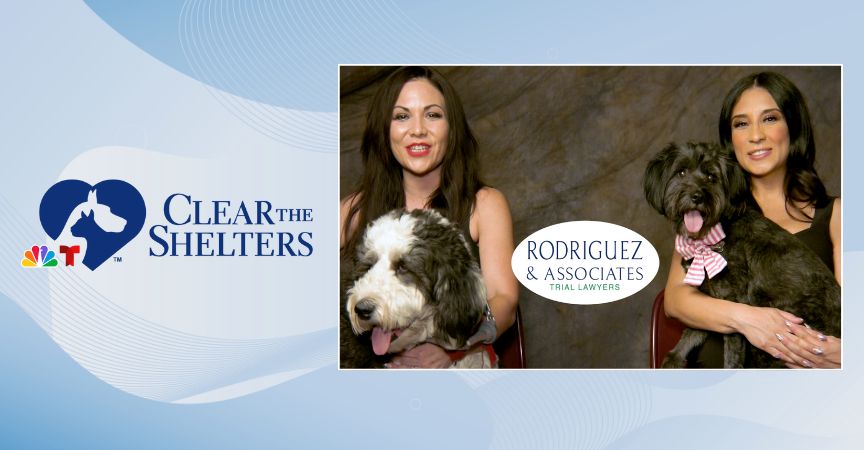 rodriguez and associates clear the shelters
